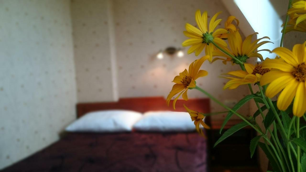 Villa Gracja Łeba Kültér fotó