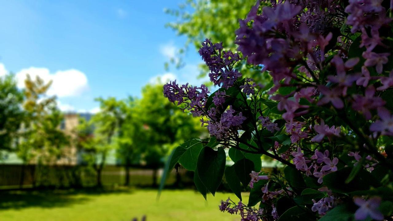 Villa Gracja Łeba Kültér fotó